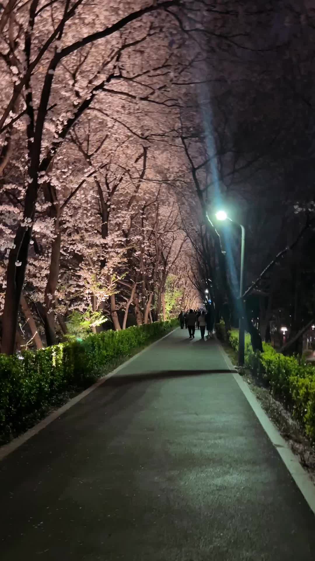 @bb🧚♀️
