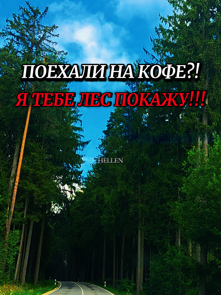 @⚜️H&Xi;LL&Xi;N⚜️