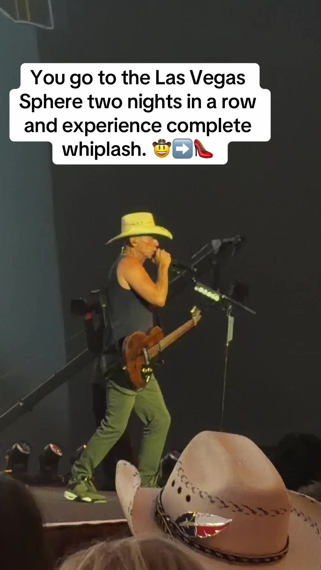 @Appalachian Flamingos