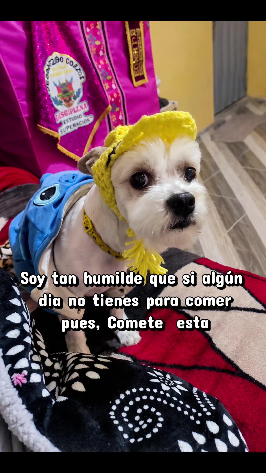 @david.J.C