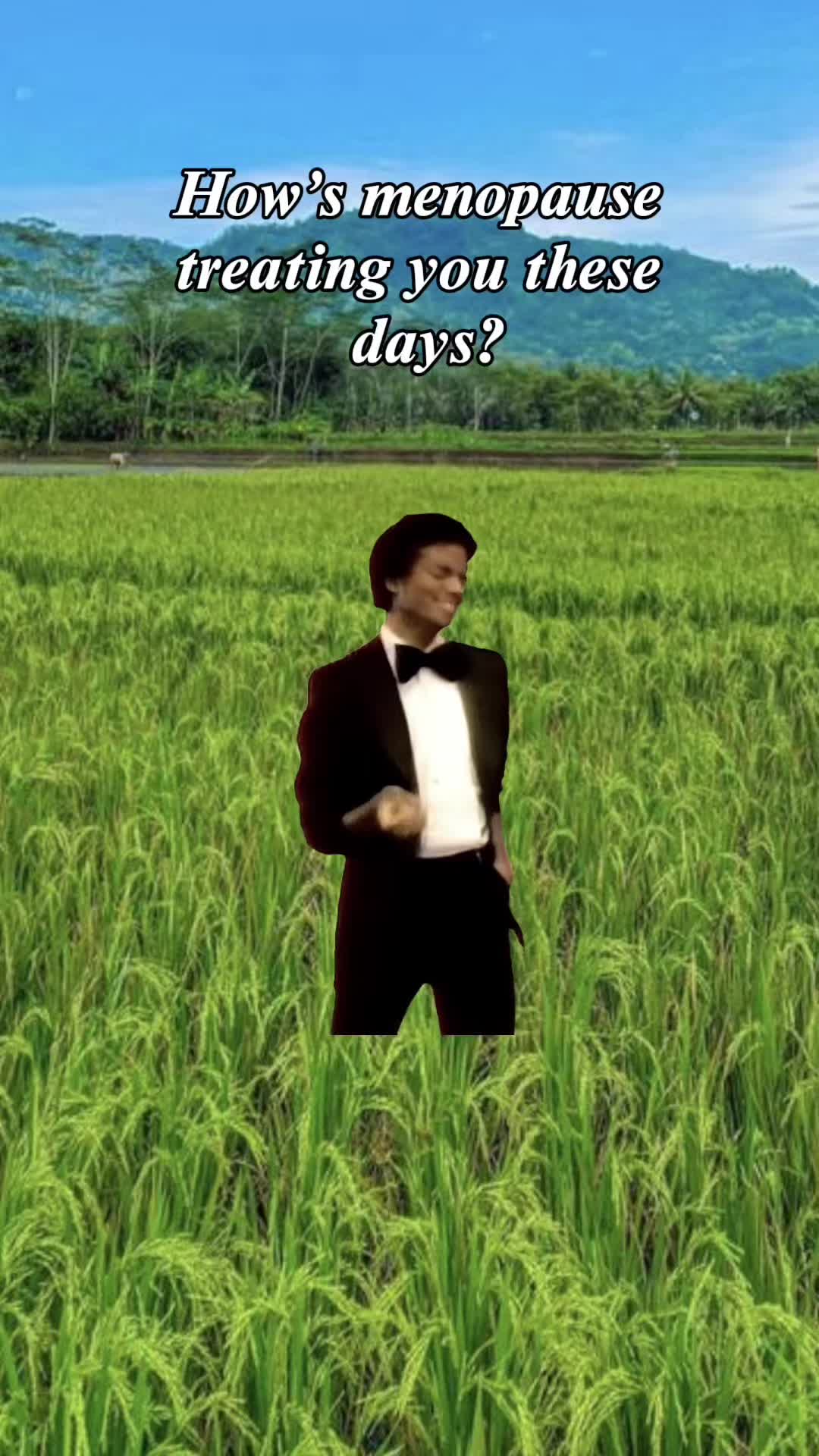@npFeeFee