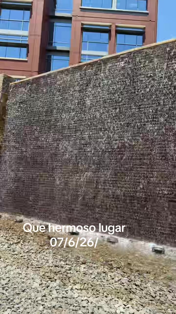 @Ailama zoñum