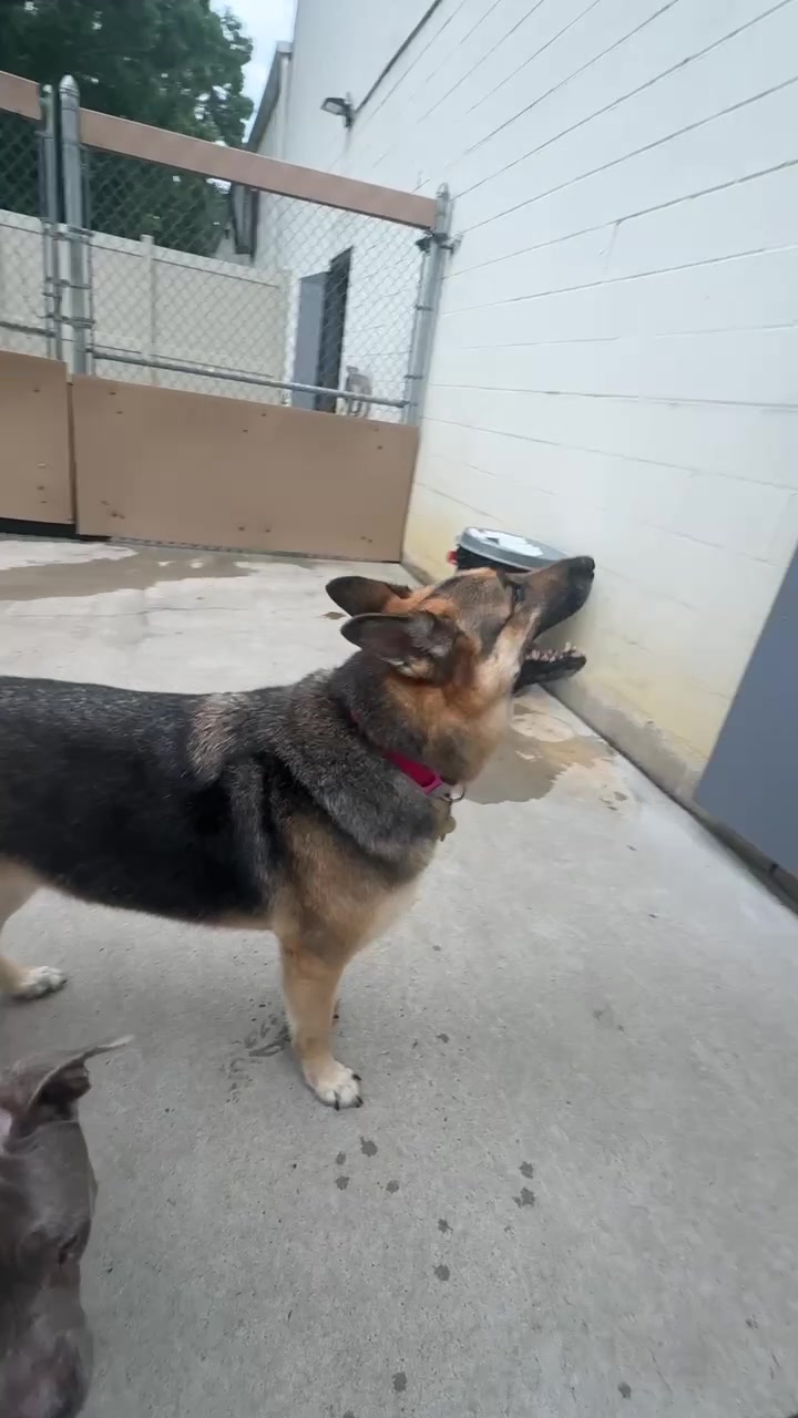 @CampBowWow Eatontown