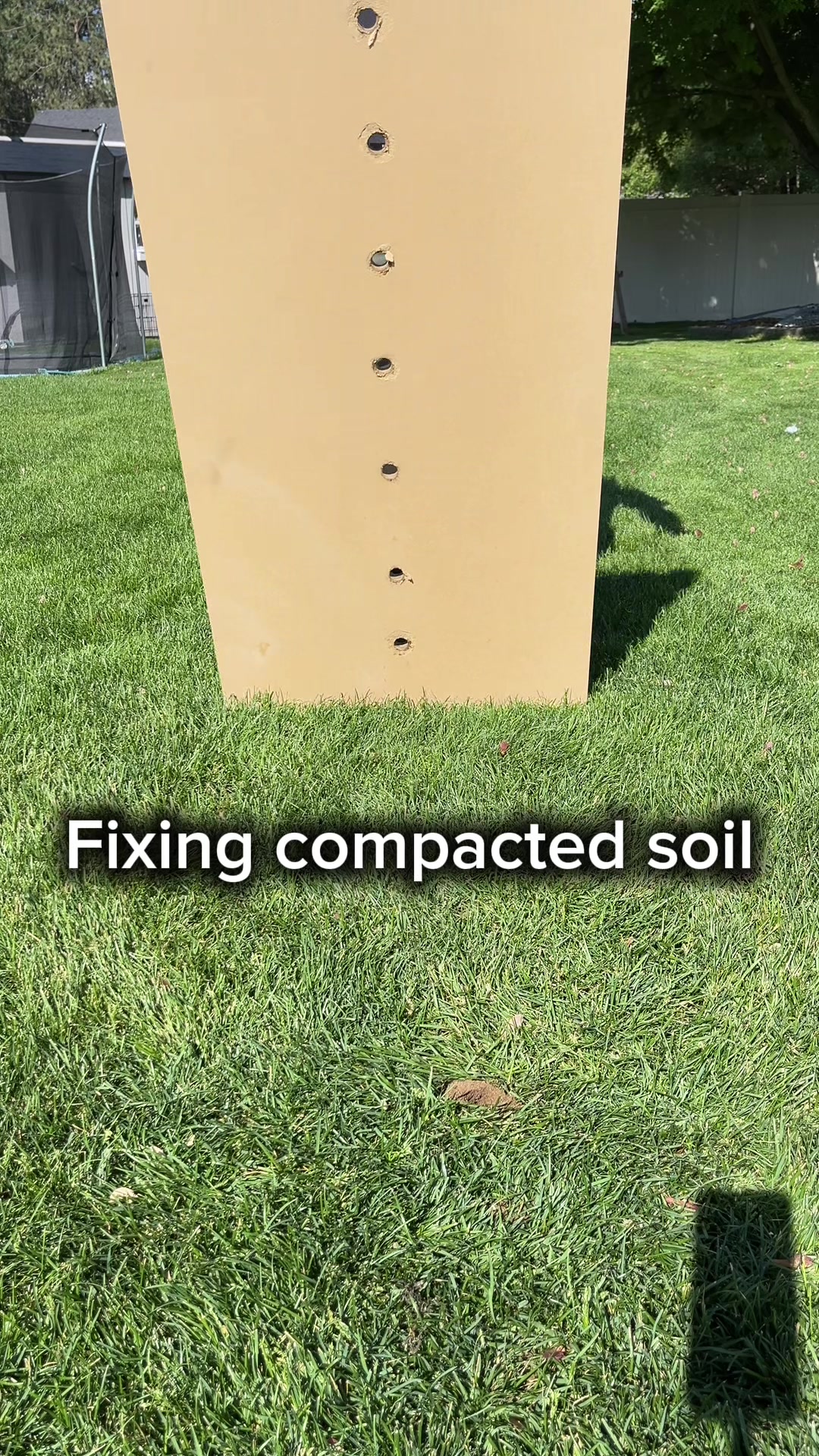 @Lawngest Yard