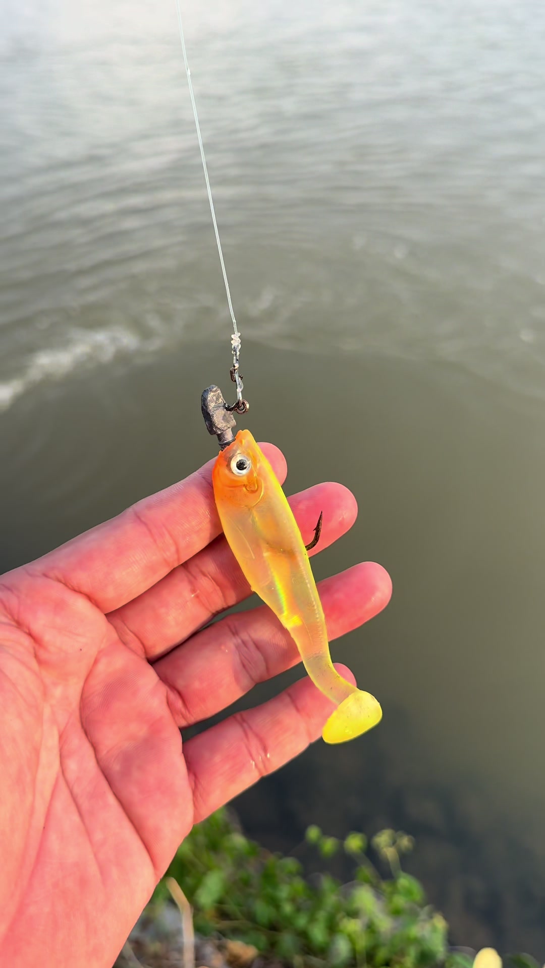 @NGW Angler