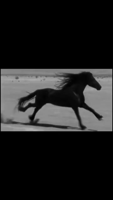 @ibelieveinunicorns