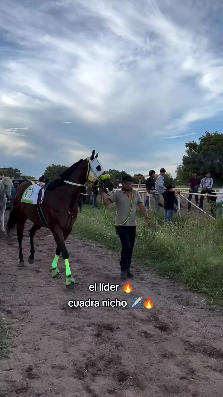 @carriles altos de jalisco🐎