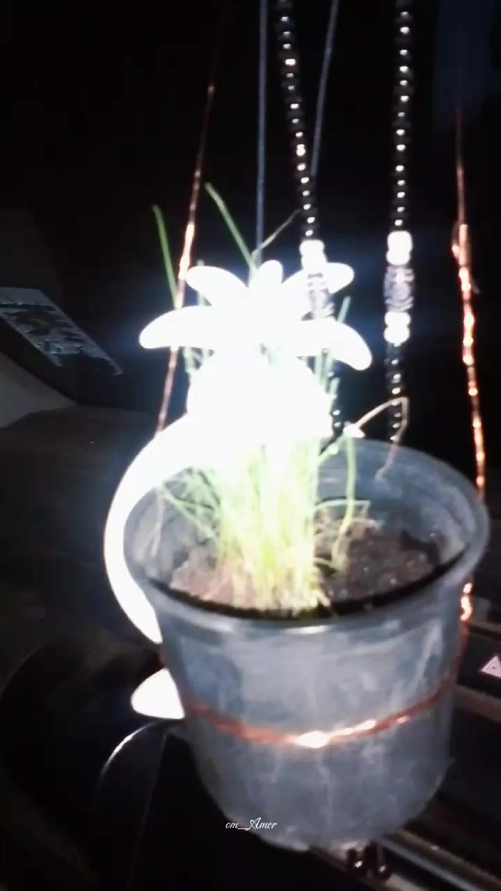 @Uthinkithot_Capcut organic