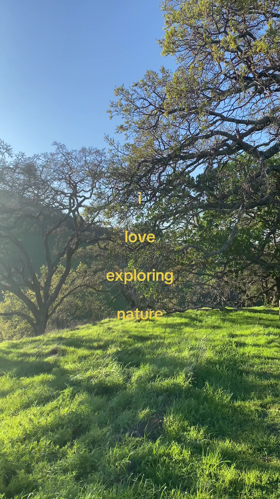 @𝙂𝙖𝙗𝙗𝙮
