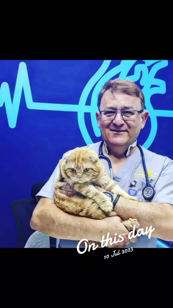 @VillagevVet LLC