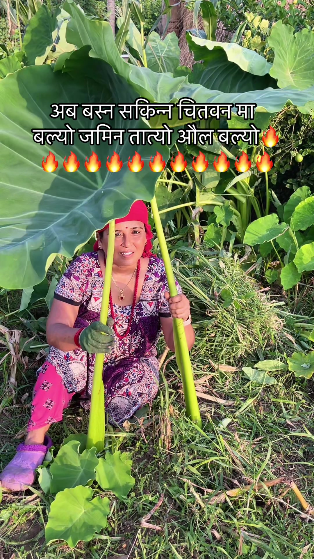 @Rachana