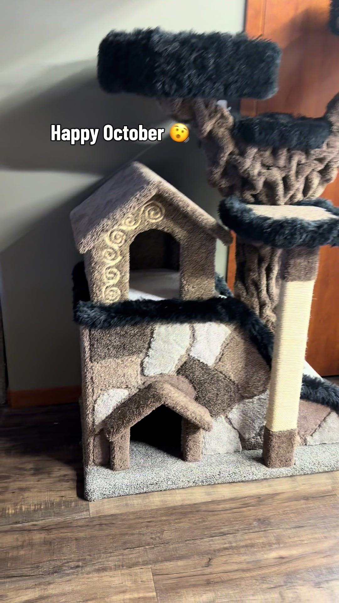 @customcatcribs