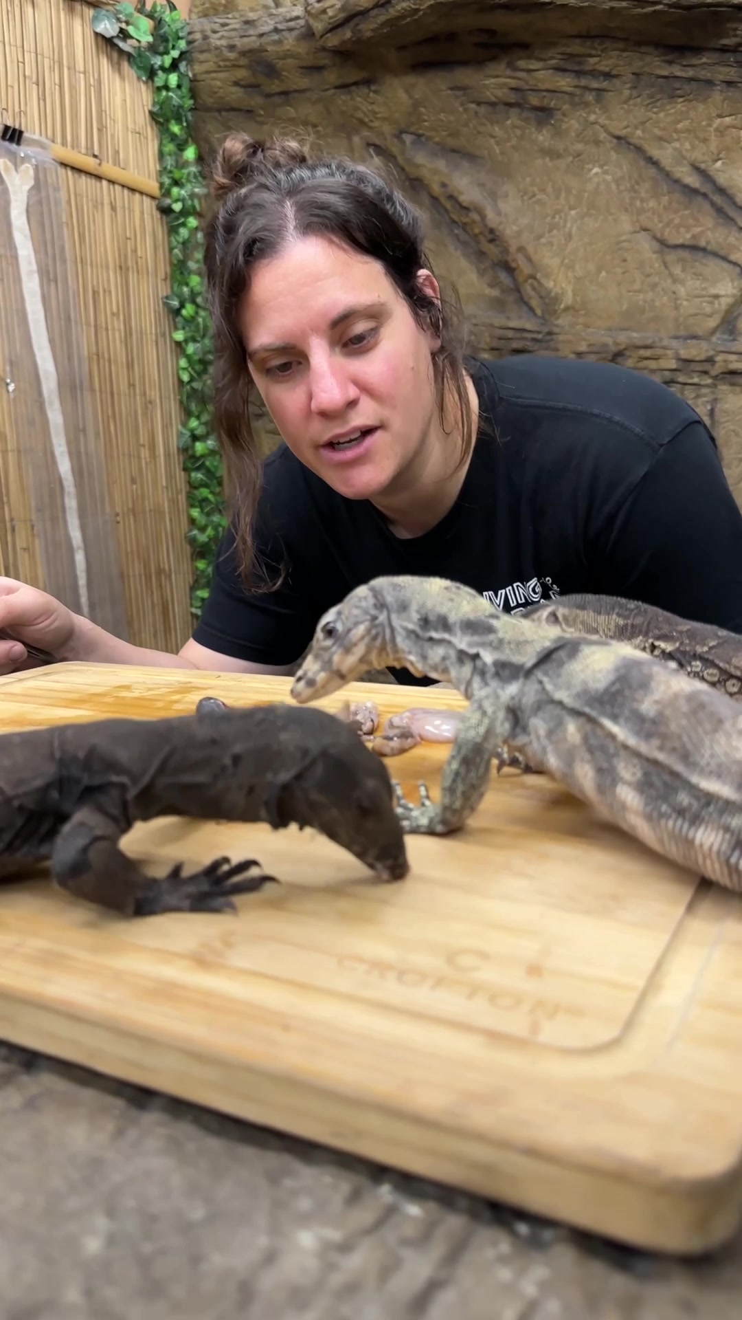 @The Reptile Zoo