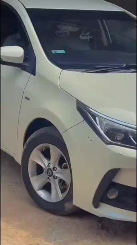 @راجہ قاسم 🪽✨