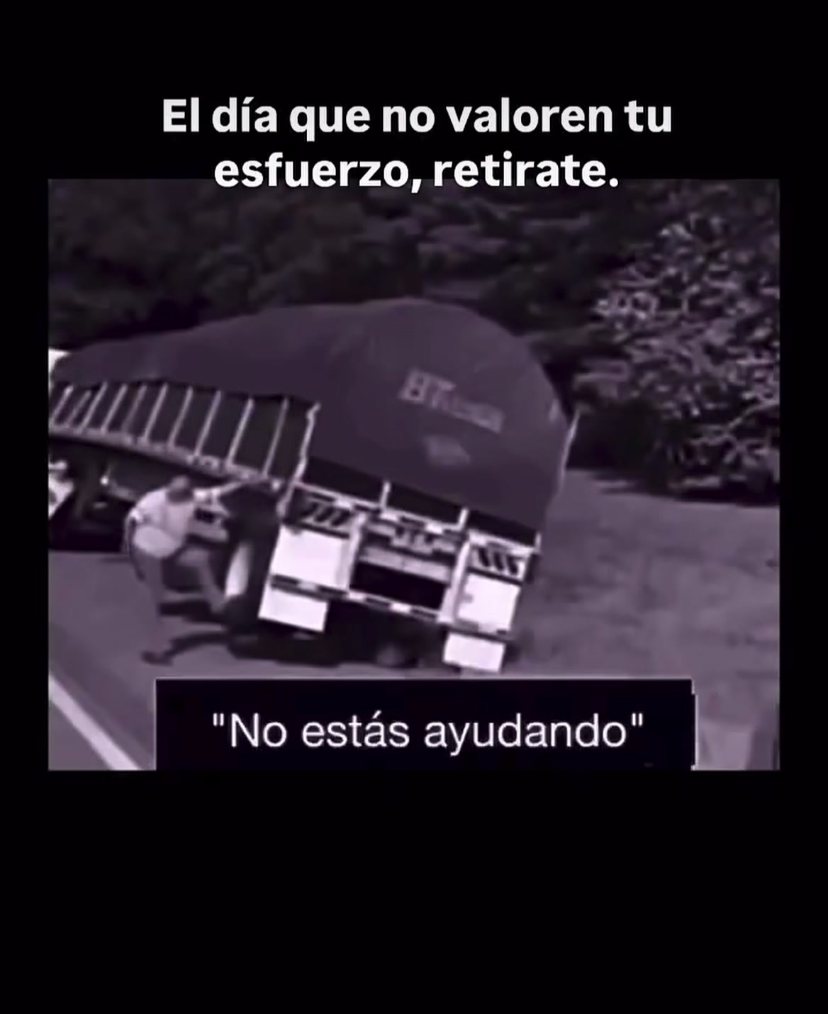 @Patricia Arronal