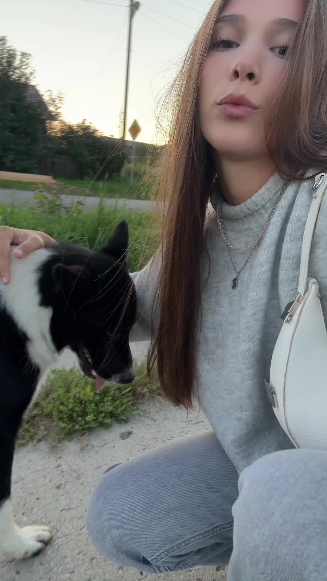 @alankrr🐈⬛