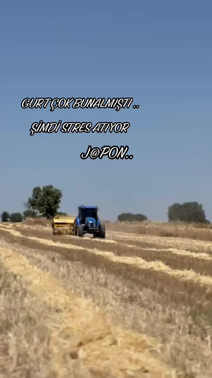 @Hakan AKKAYA