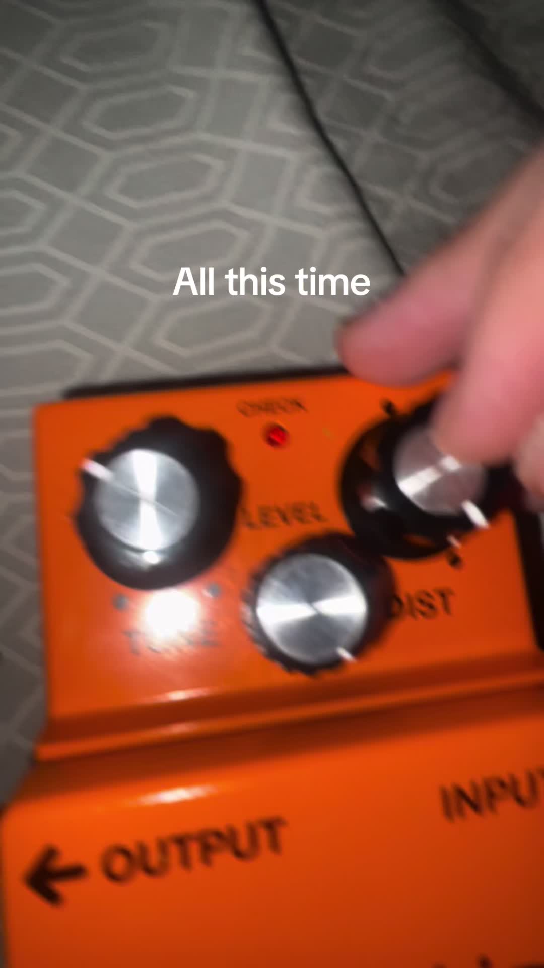 @seewhy