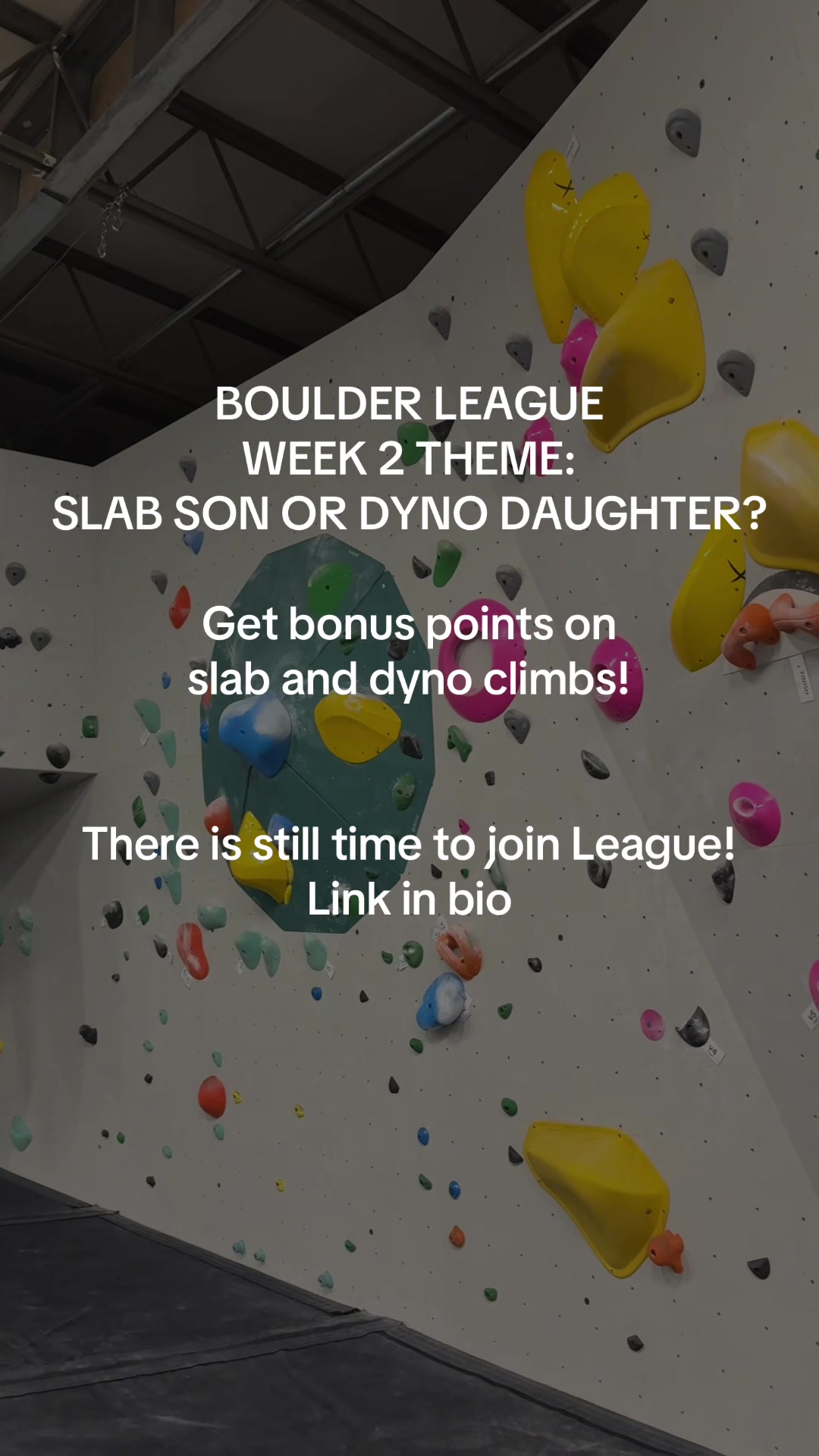@Horizon Climbing Gym