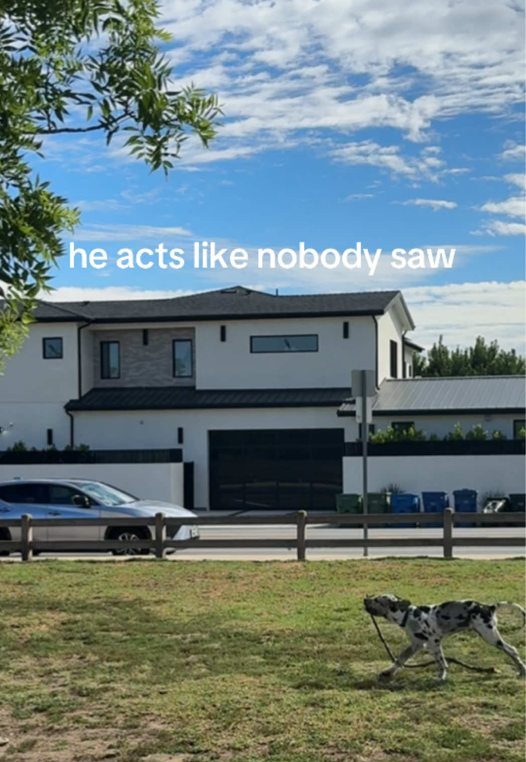 @Milo + Mo