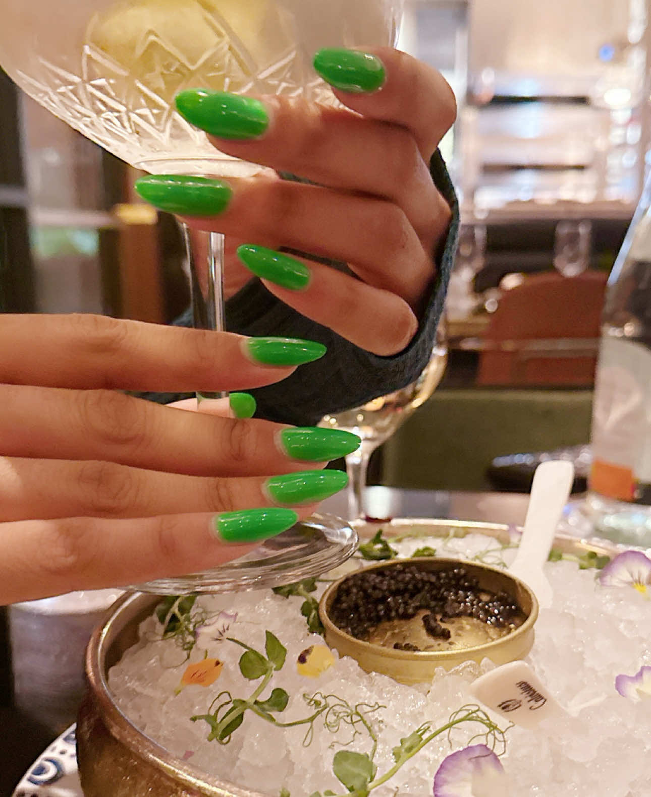@Caviar & Wings Podcast