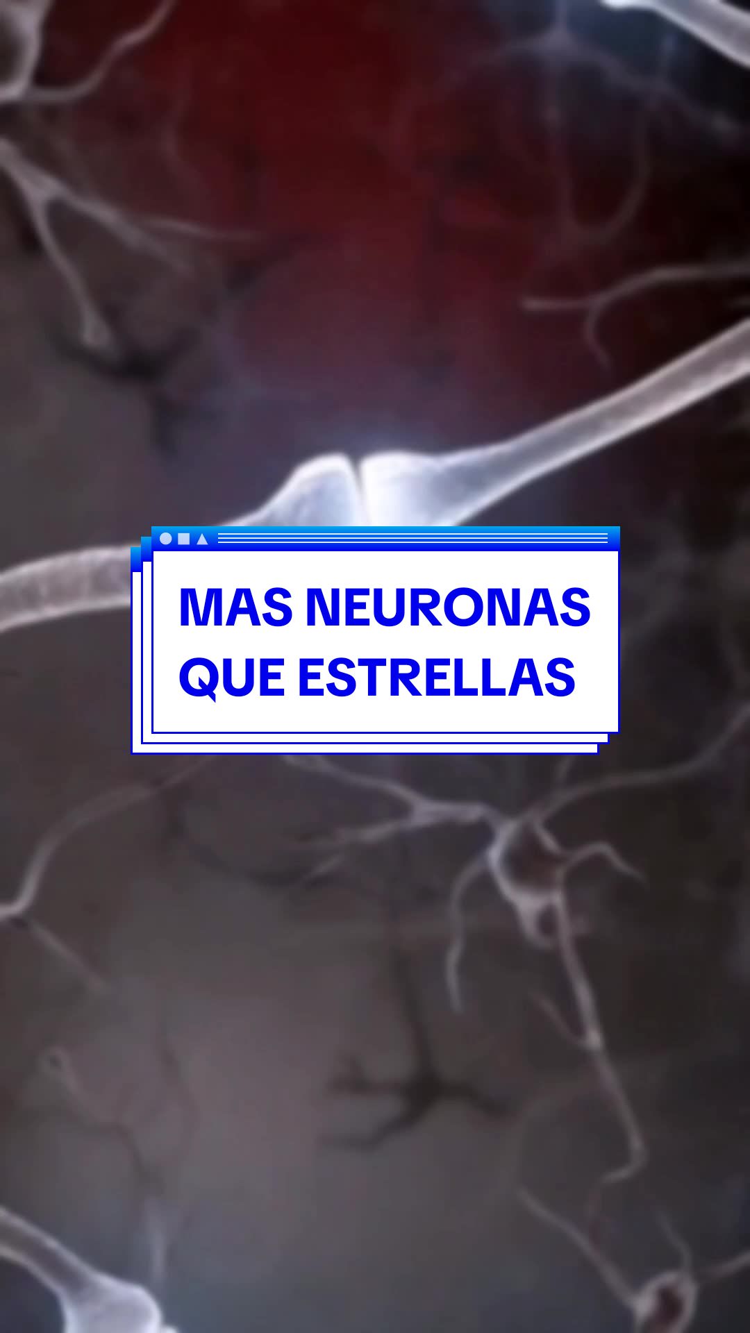 @MrQuestion