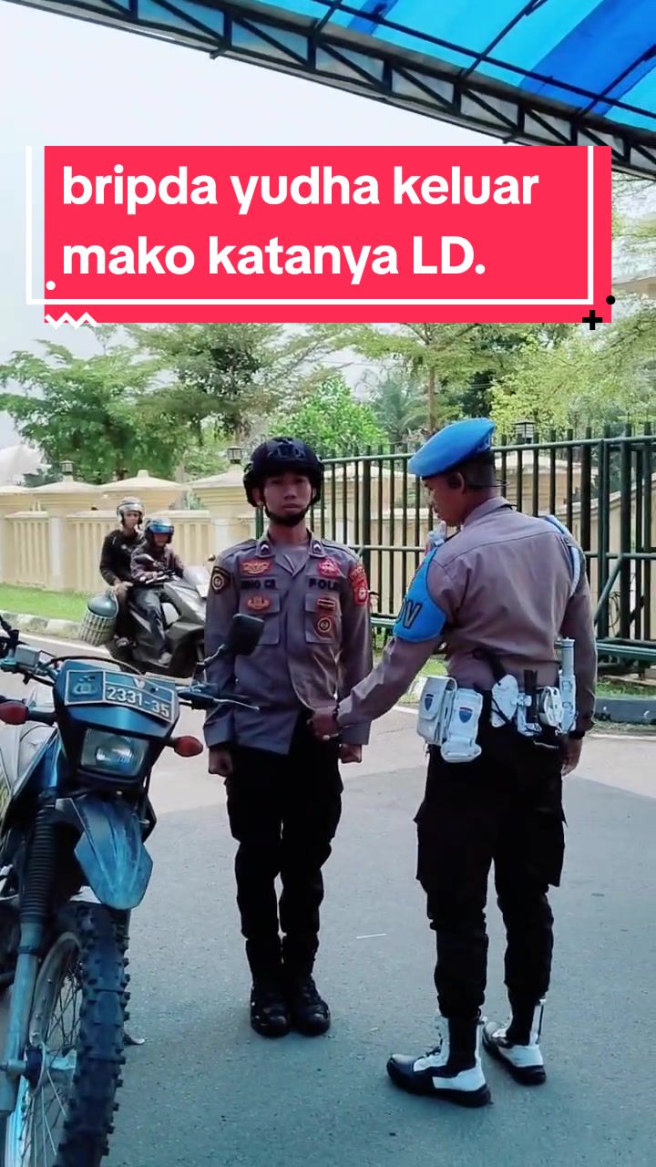 @KUMISAN