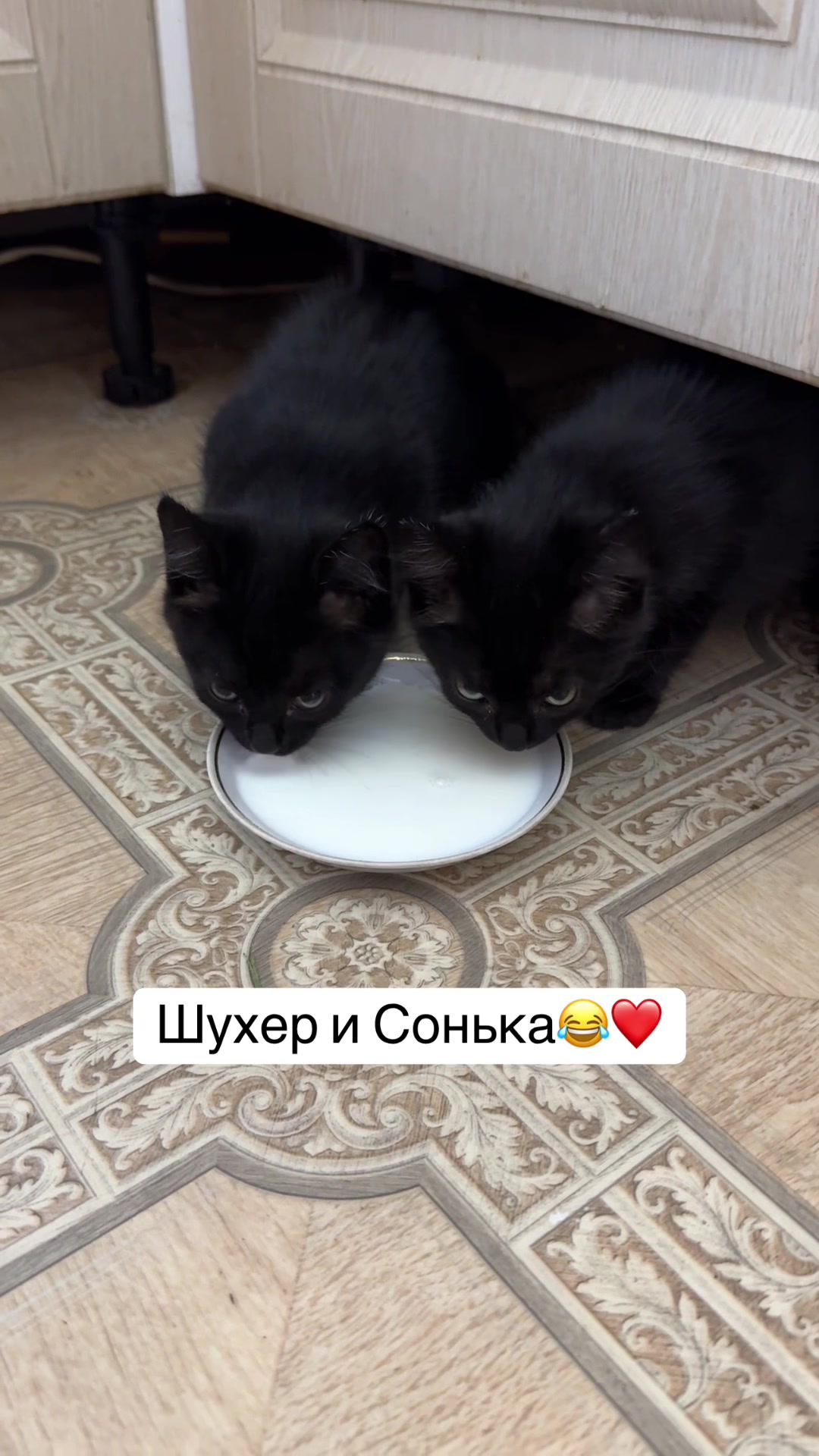 @Аутизм. Особенный ребенок