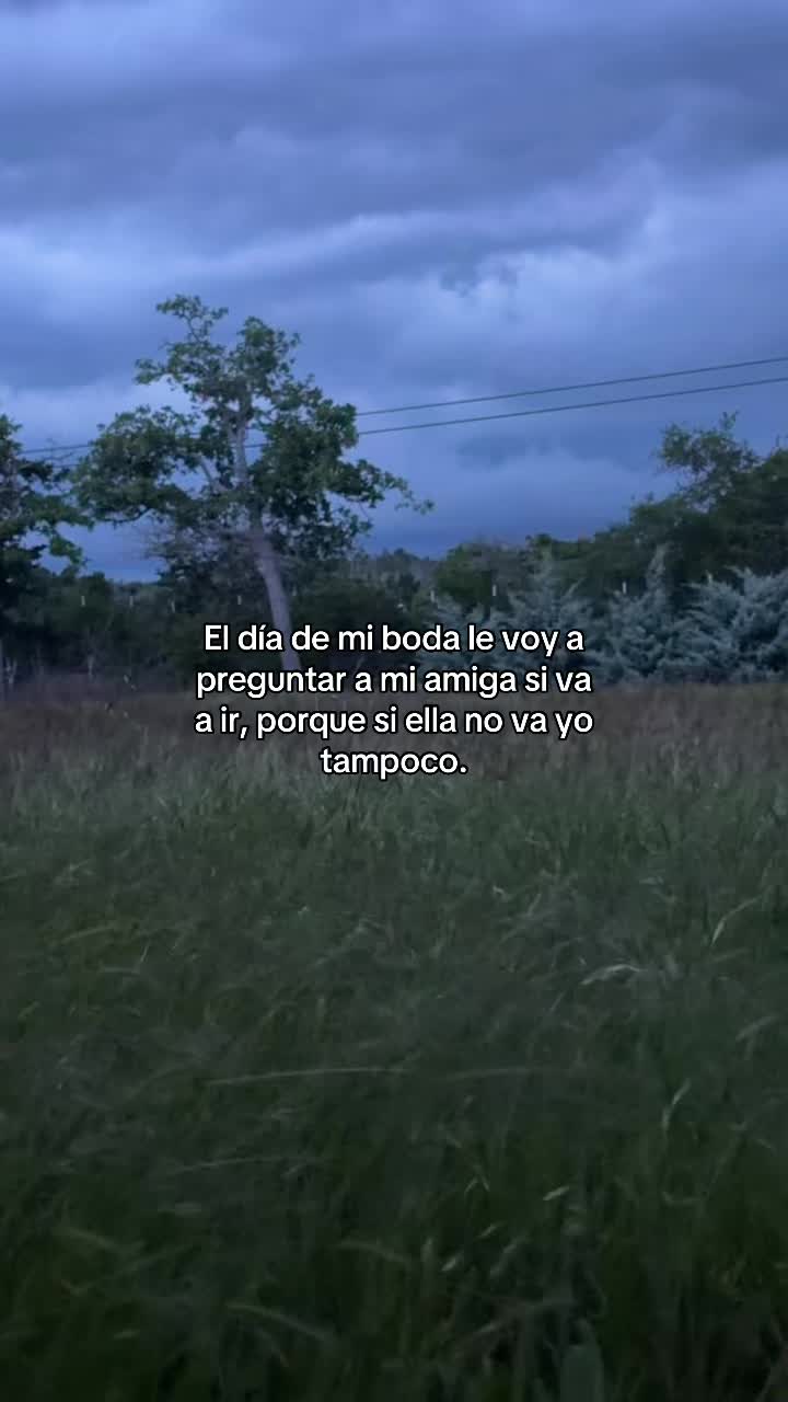 @El Trevol
