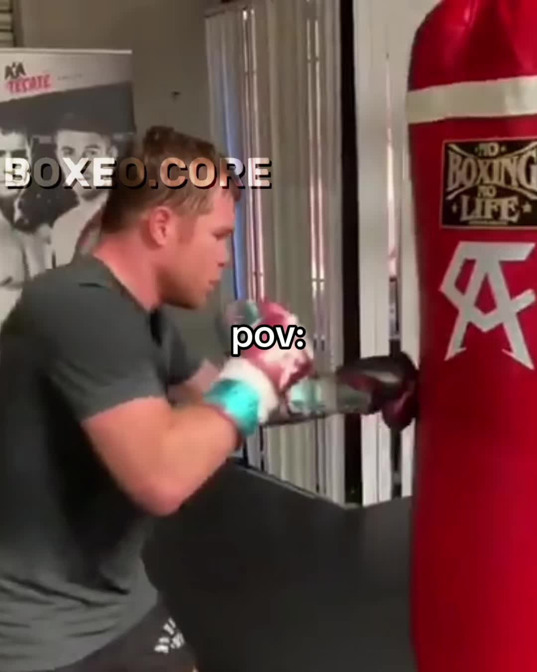 @boxeo.core