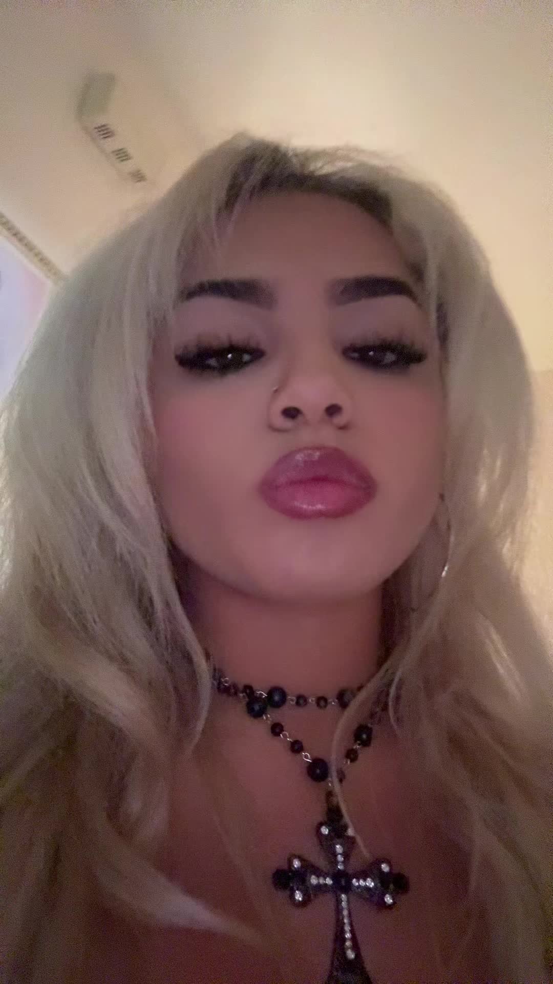@arizstocat