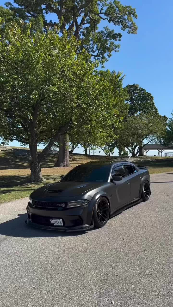 @D4RK.BEE 🦟
