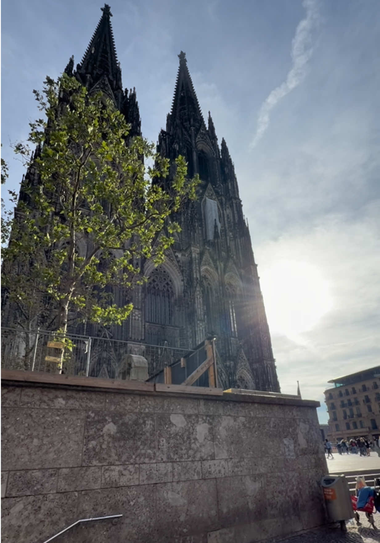 @Andreea Purice