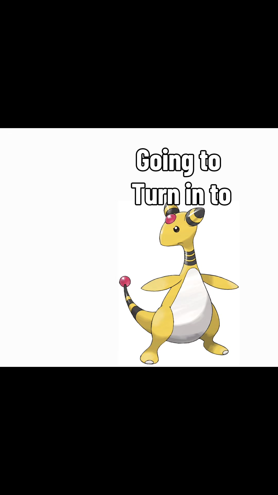 @#1 Ampharos Glazer ⚡️