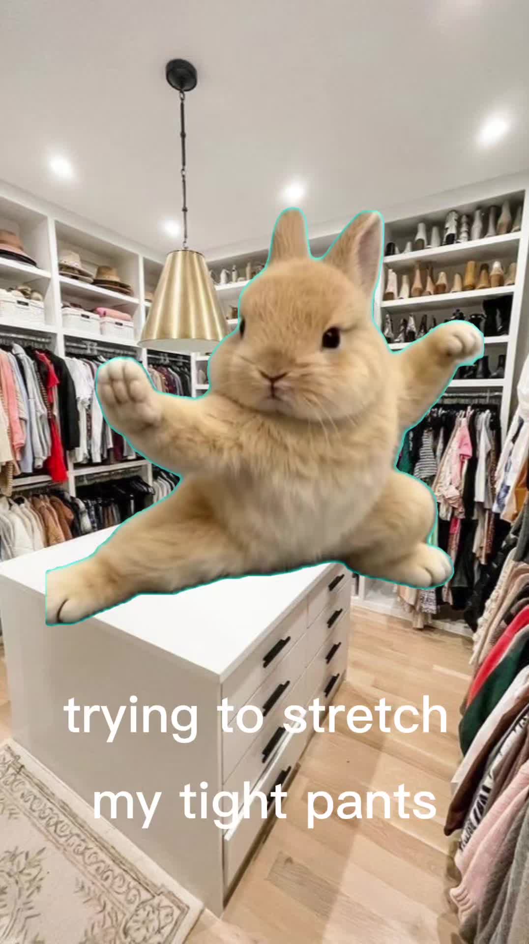 @gypie