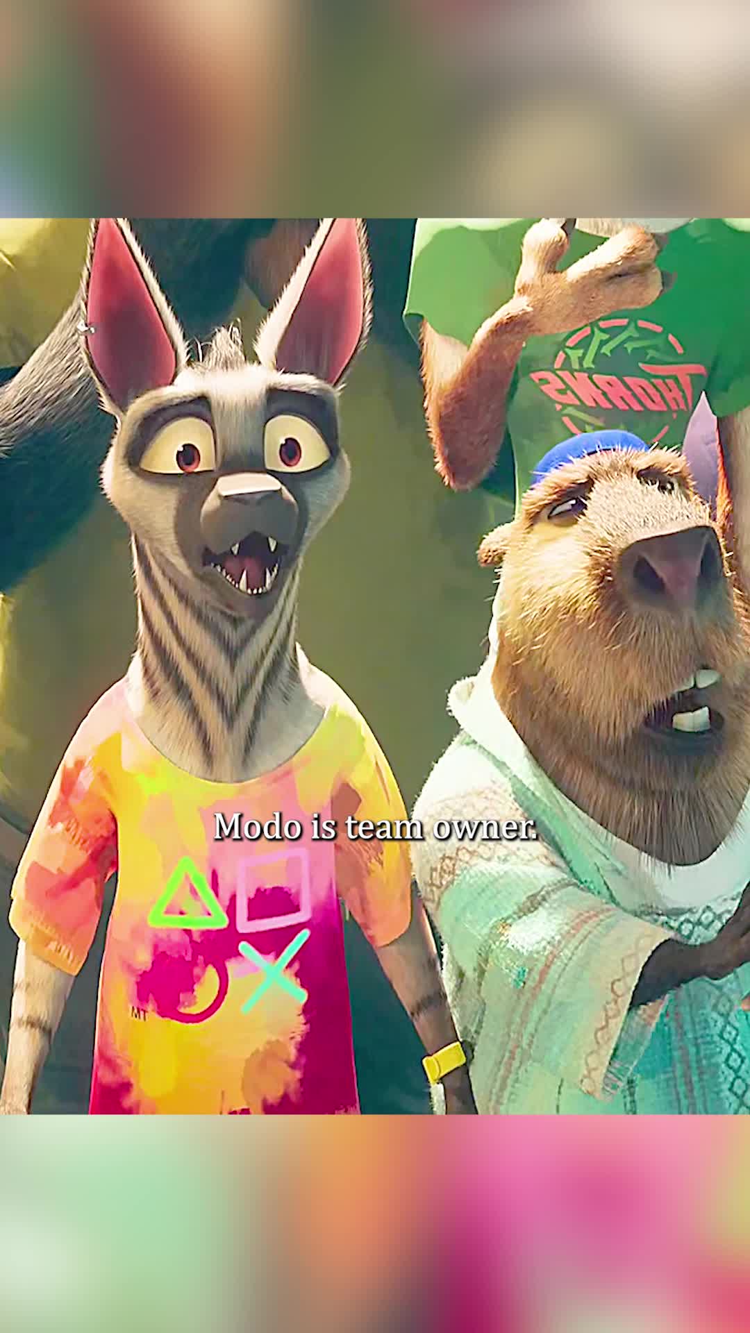 @sdfgvbc