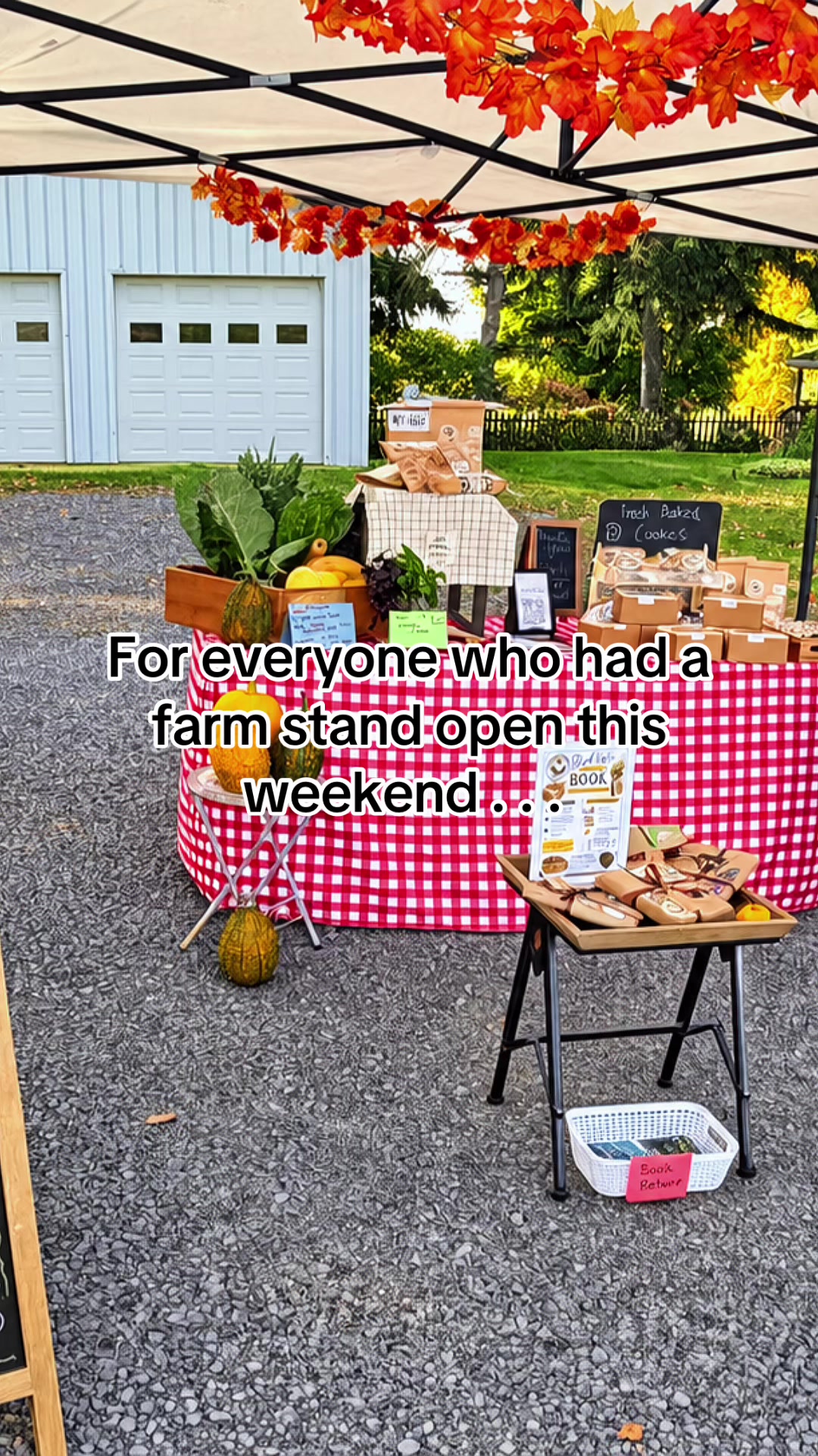 @Resistance Homesteaders