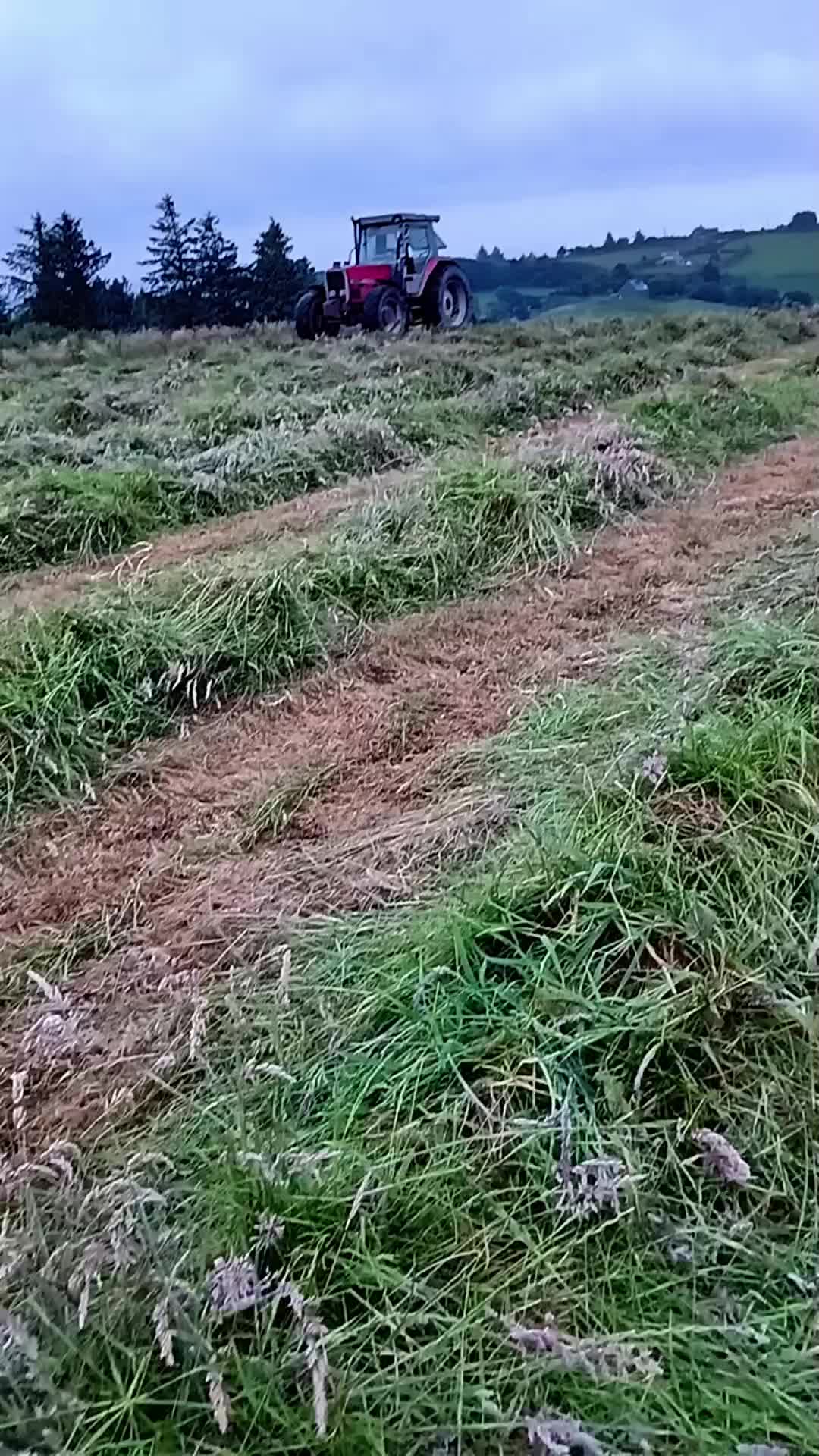 @Se&aacute;n Whelton 🚨 🚜 🌽