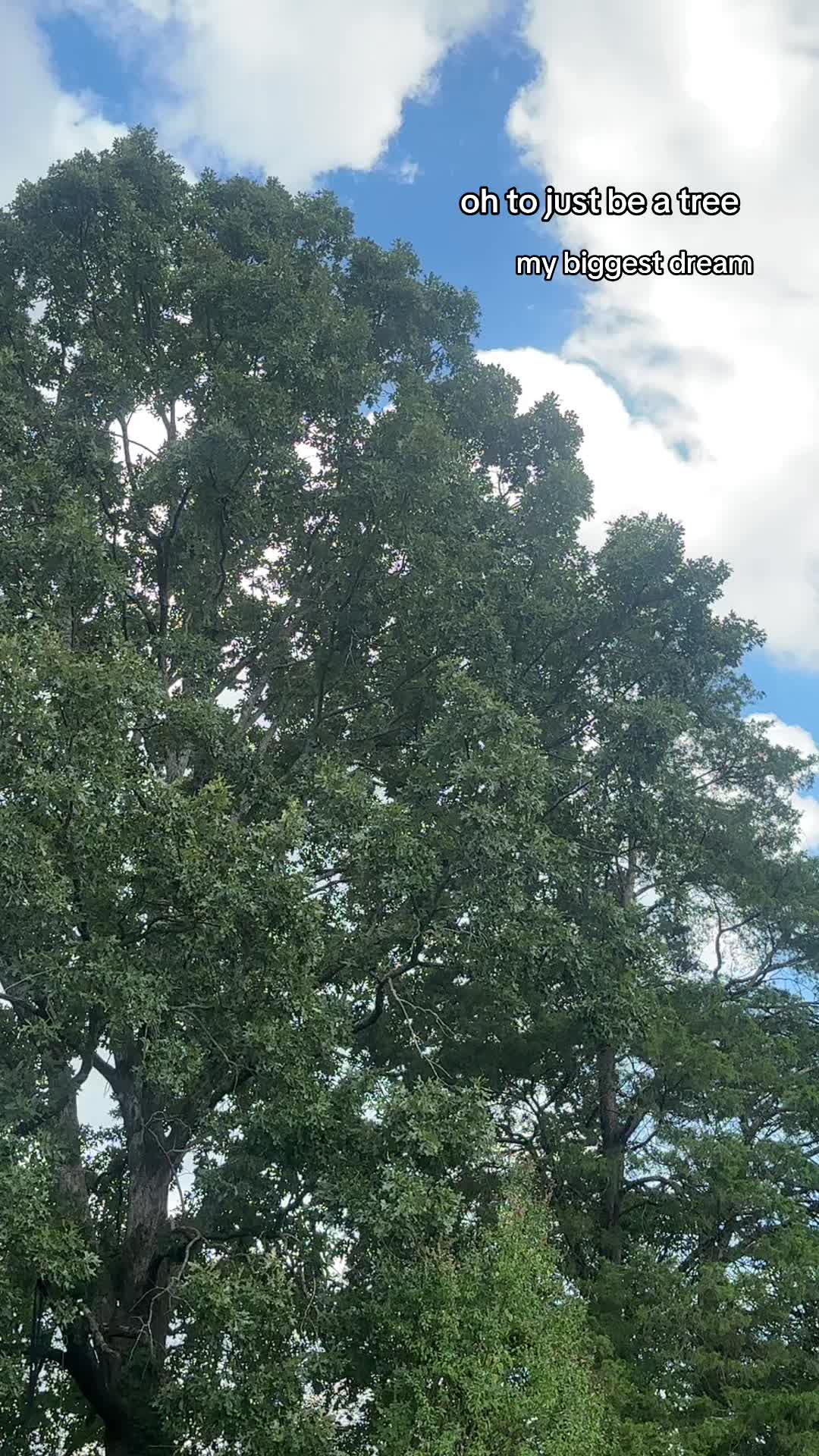 @myabutworsee
