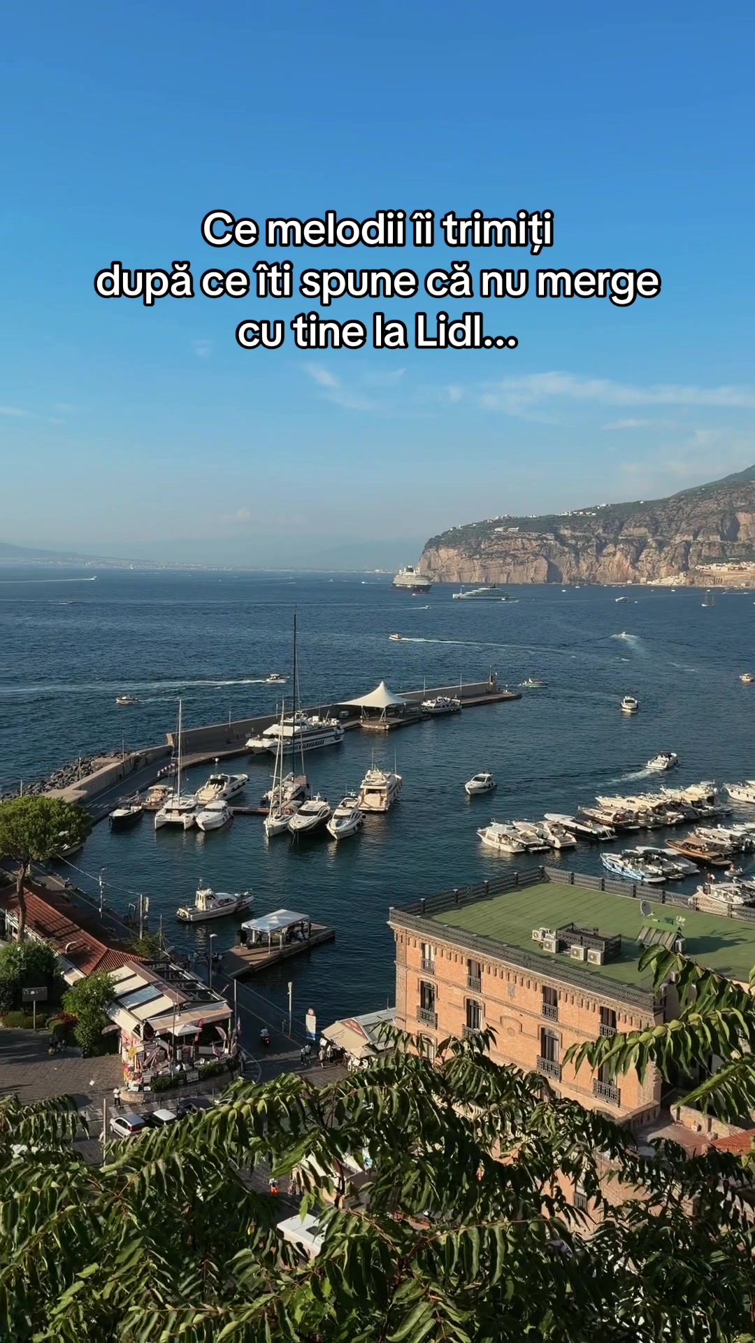 @Diana Dincă