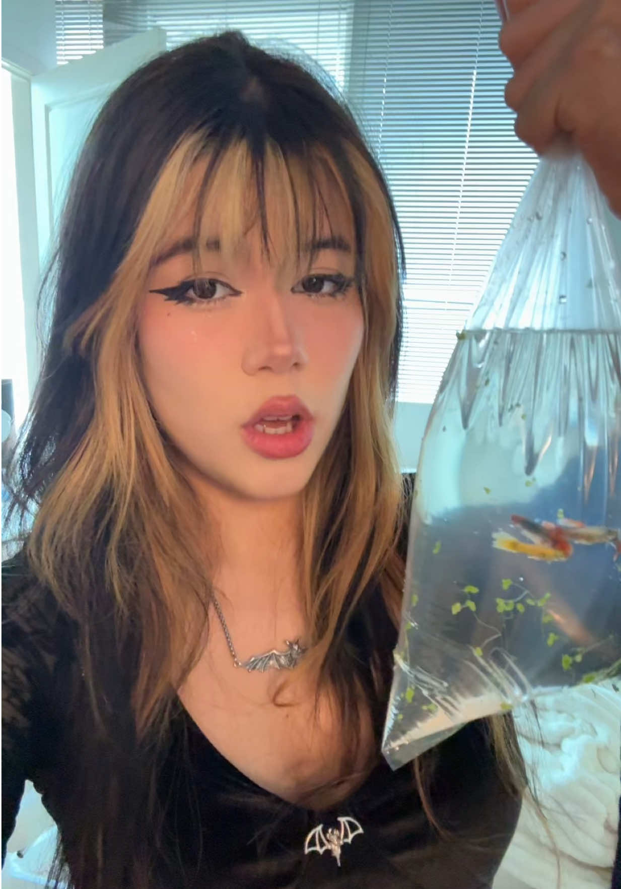 @ariyu.kim