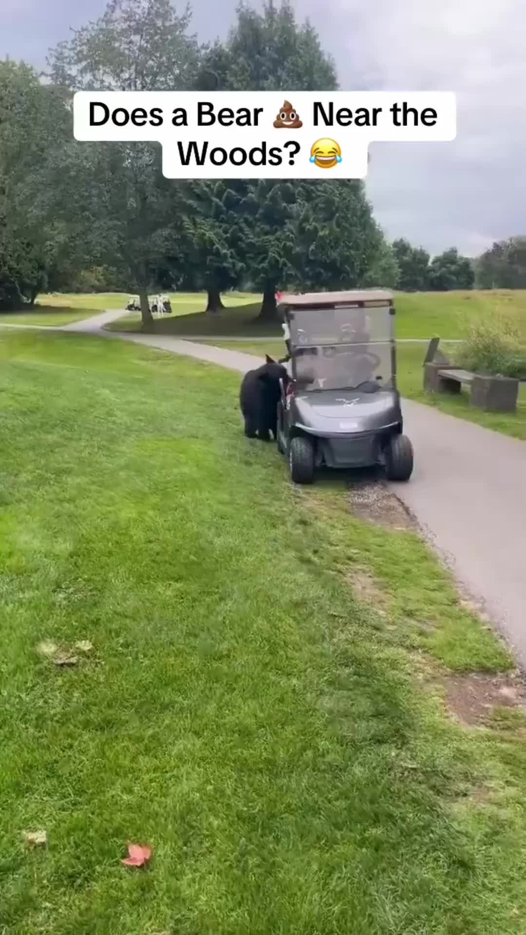 @Lg