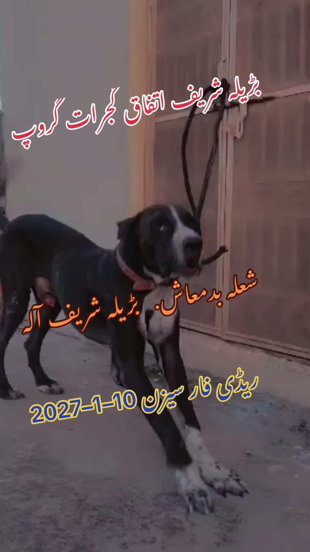 @Buhtto Gujjar