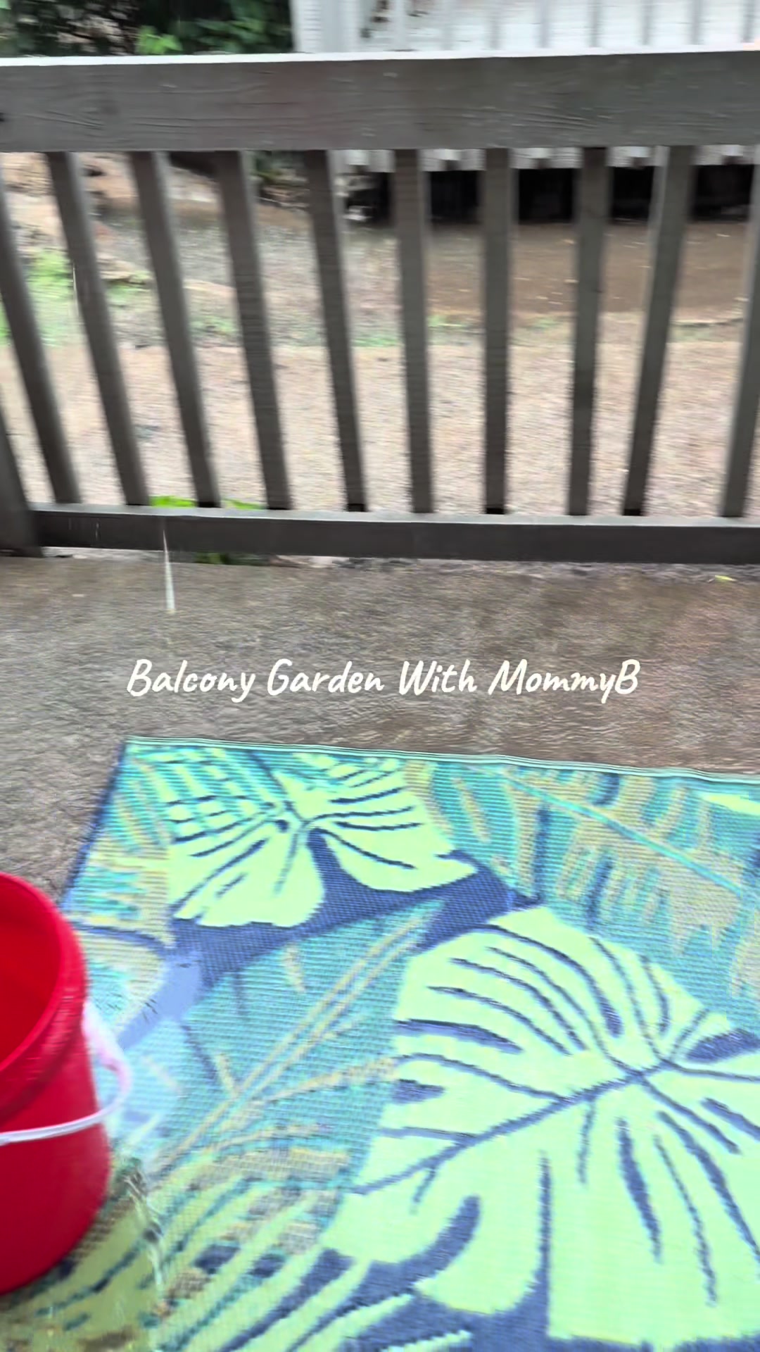 @MommyB&Buggy