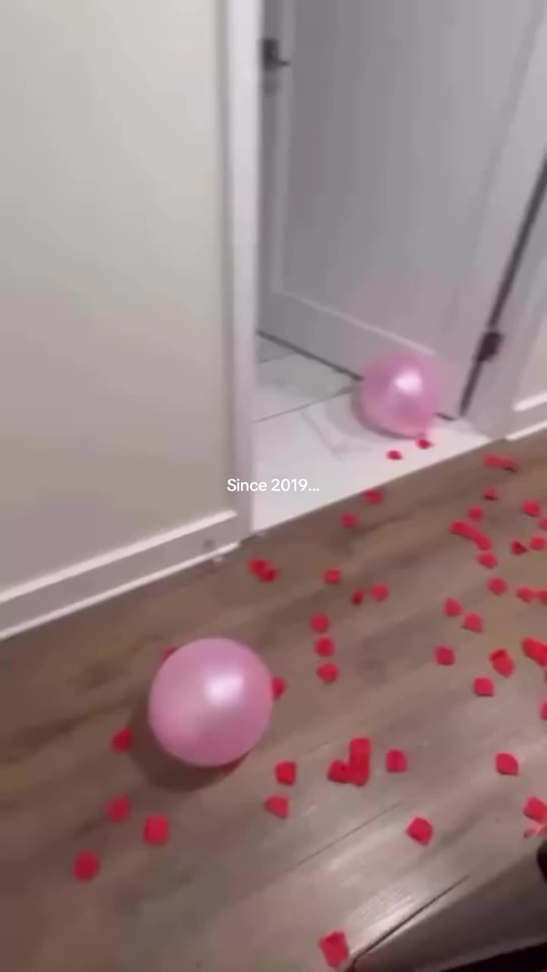 @Kiwi