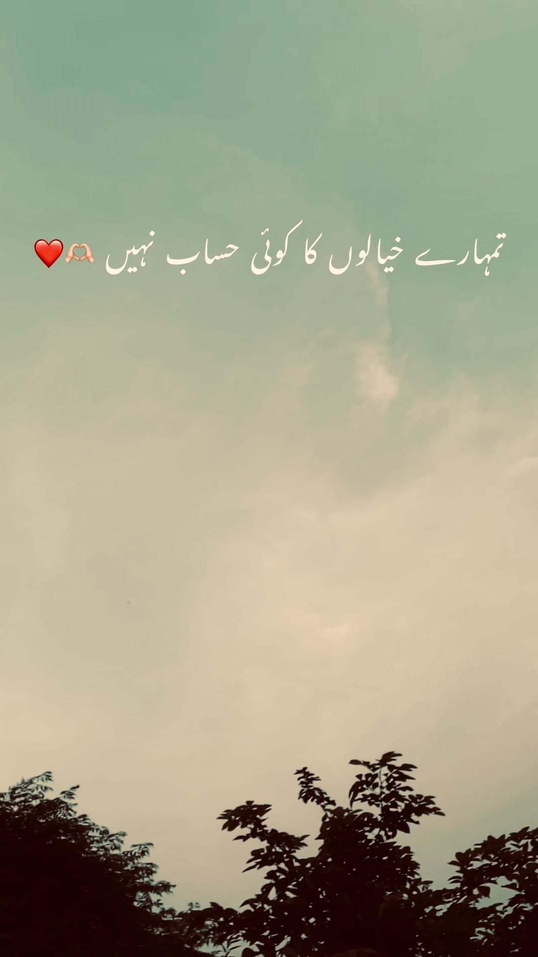 @ch.usمan.471🍁