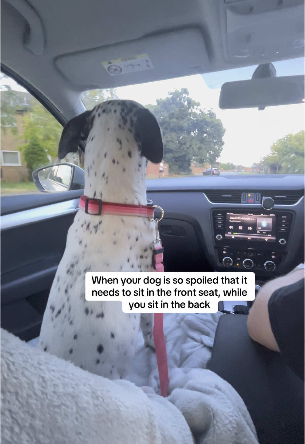 @spottybonnie