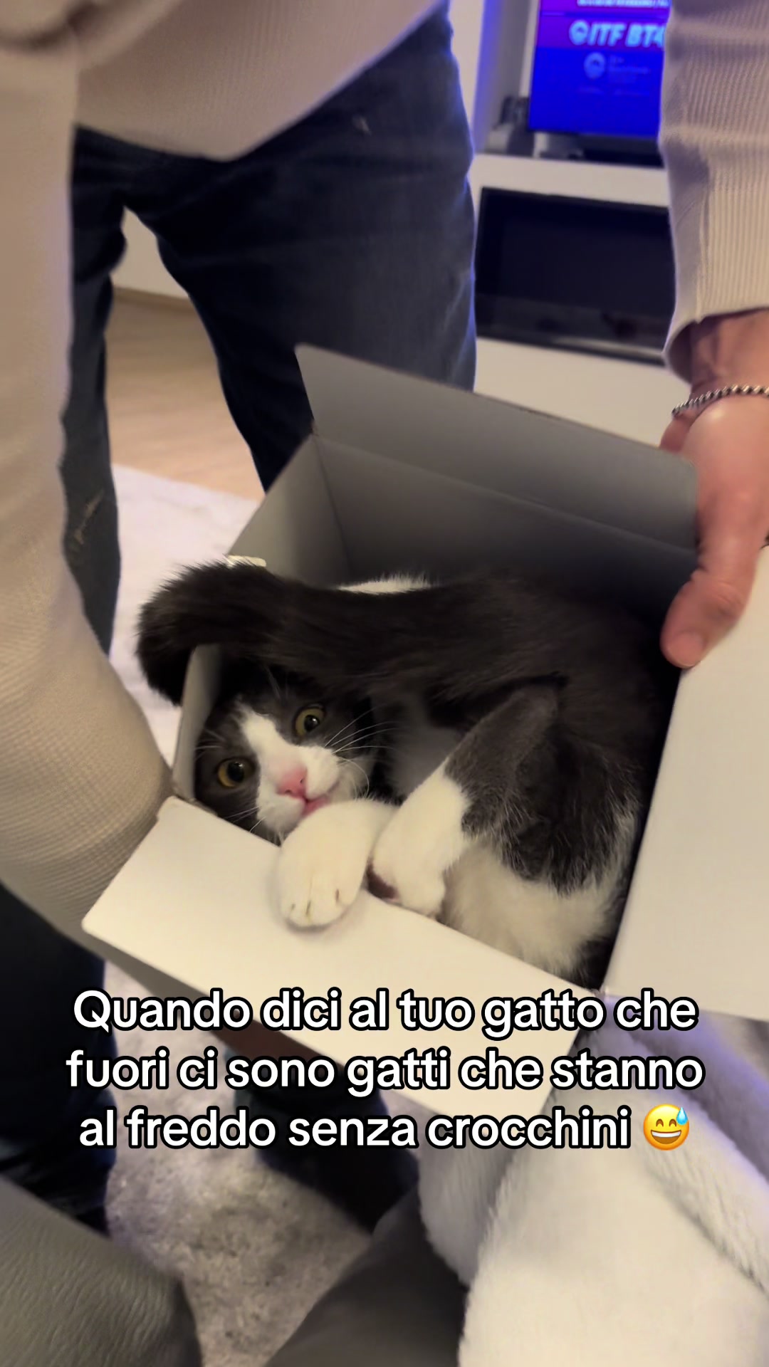 @Cippy & Romeo-a🤣