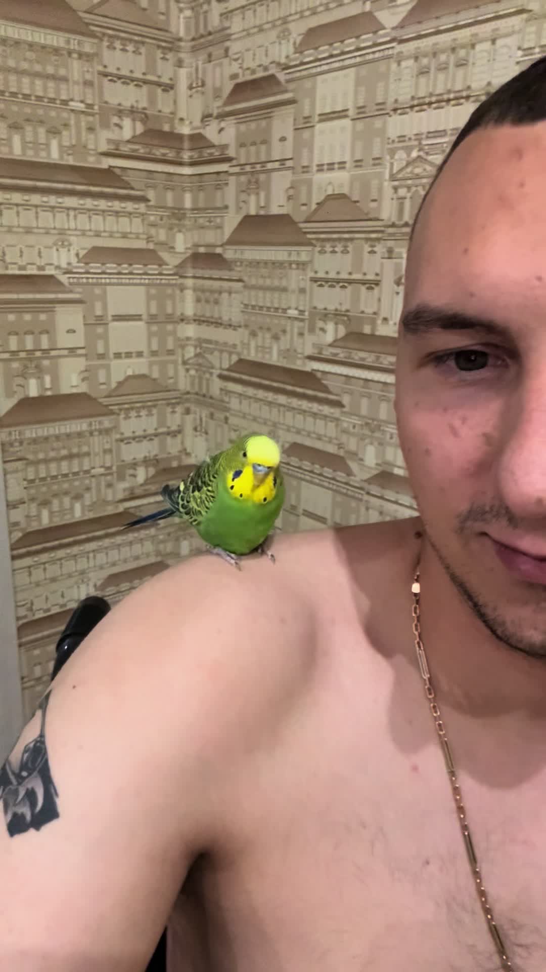 @_XAKIM_