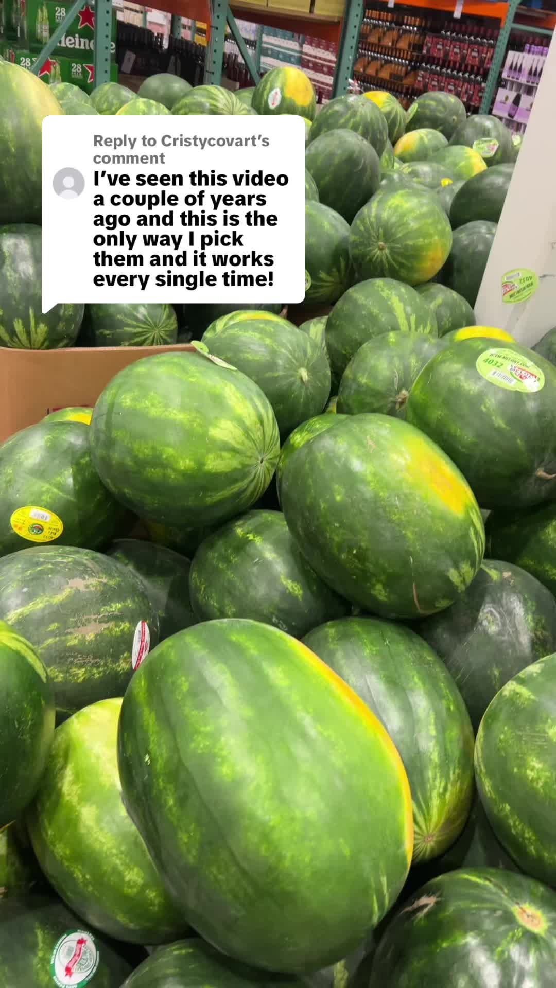 @Mrrice🌾